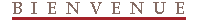 Bienv2.gif (1189 octets)